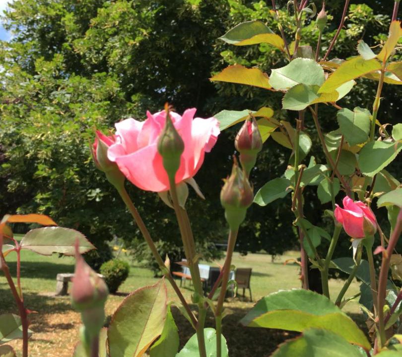 Photo of Others in Avrille-les-Ponceaux