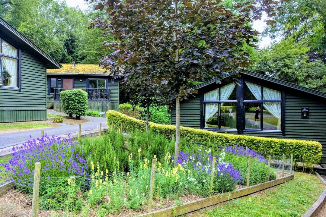 Photo of Others in Barham