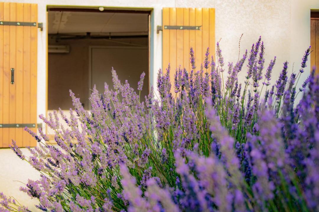 Photo of Others in Puechoursi