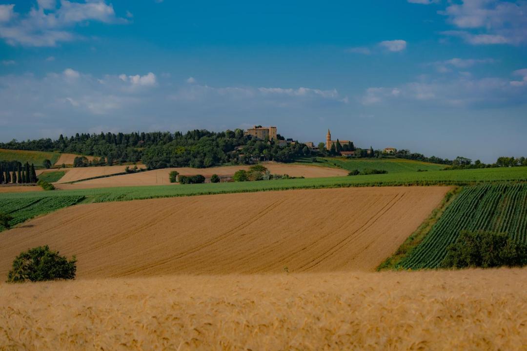 Photo of Others in Puechoursi