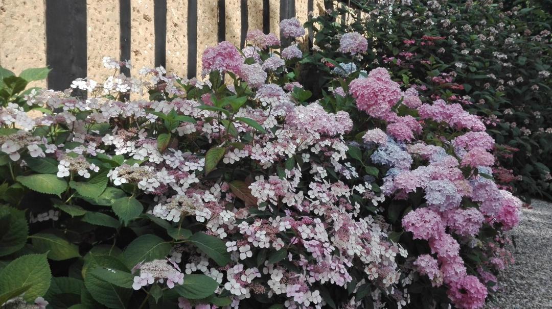 Photo of Others in Auzouville-sur-Saane