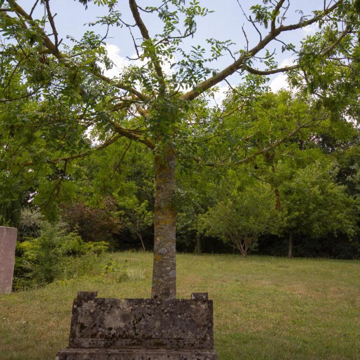 Photo of Others in Fontenailles