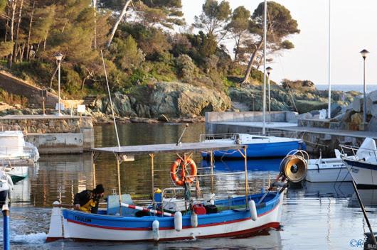 Photo of Others in Le Dramont