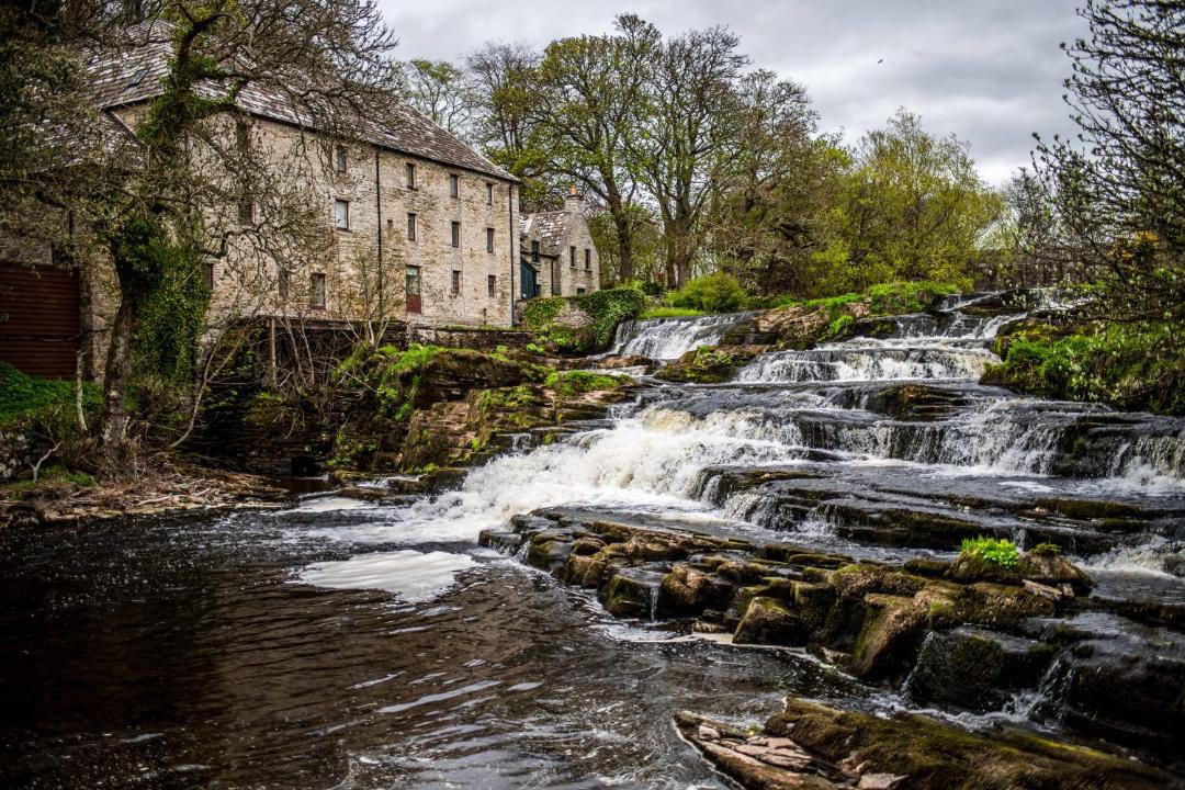 Photo of Others in Thurso