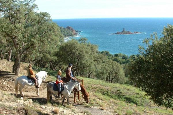 Photo of Others in Le Dramont