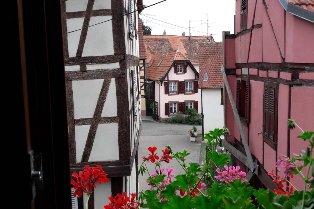 Photo of Others in Bouxwiller