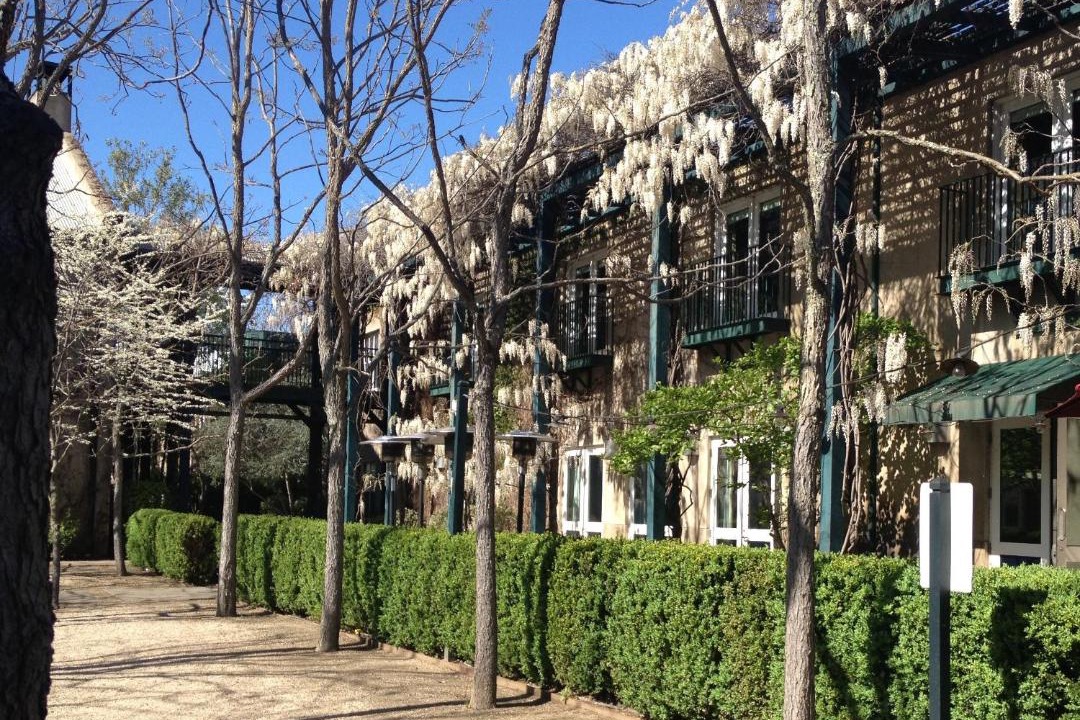 Photo of Others in St. Helena