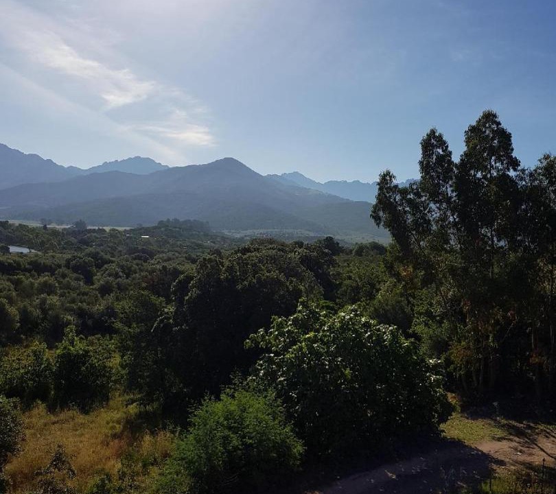 Photo of Others in Galeria