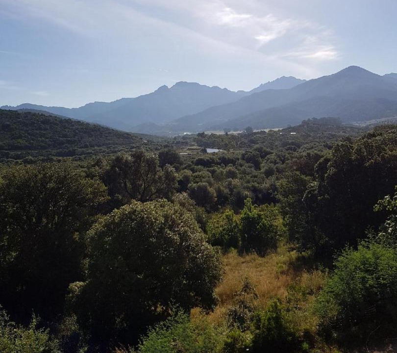 Photo of Others in Galeria