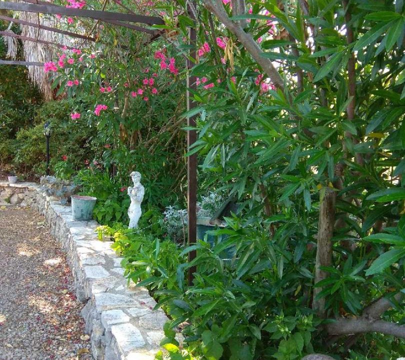 Photo of Others in Coursan