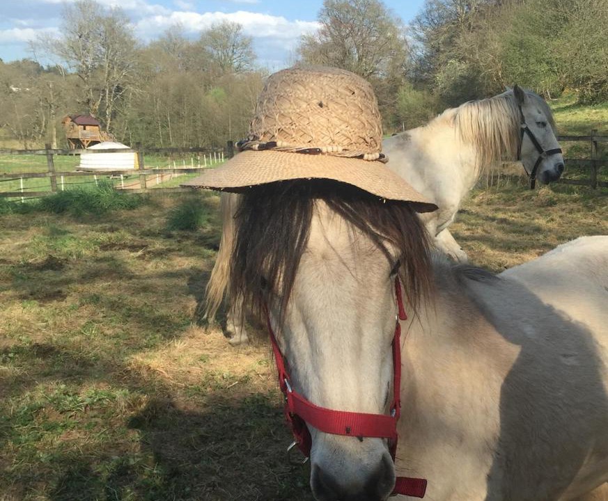 Photo of Others in Peyrat-le-Chateau