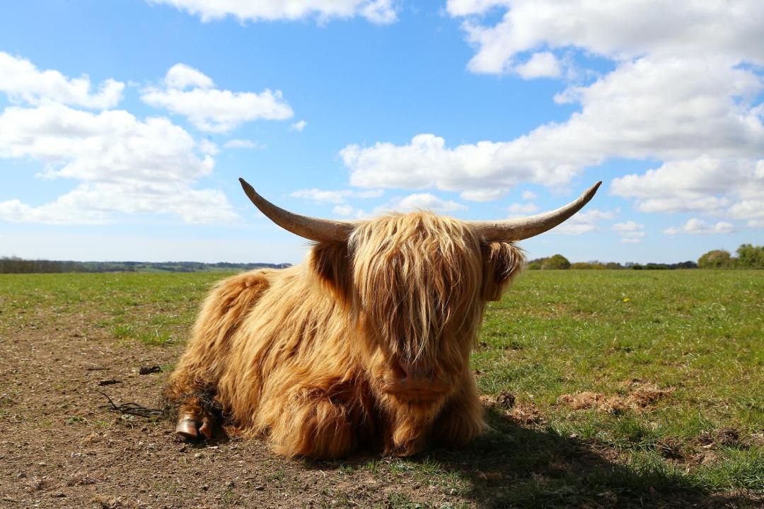 Photo of Others in Denton