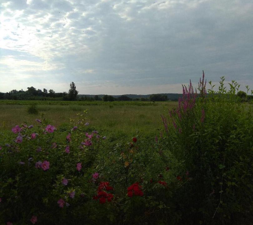 Photo of Others in Coursan