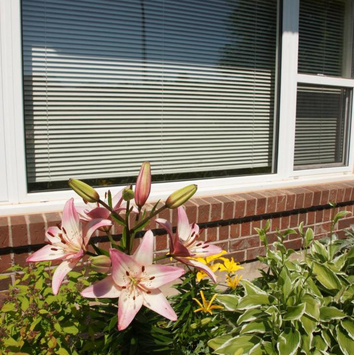 Photo of Others in Charlottetown