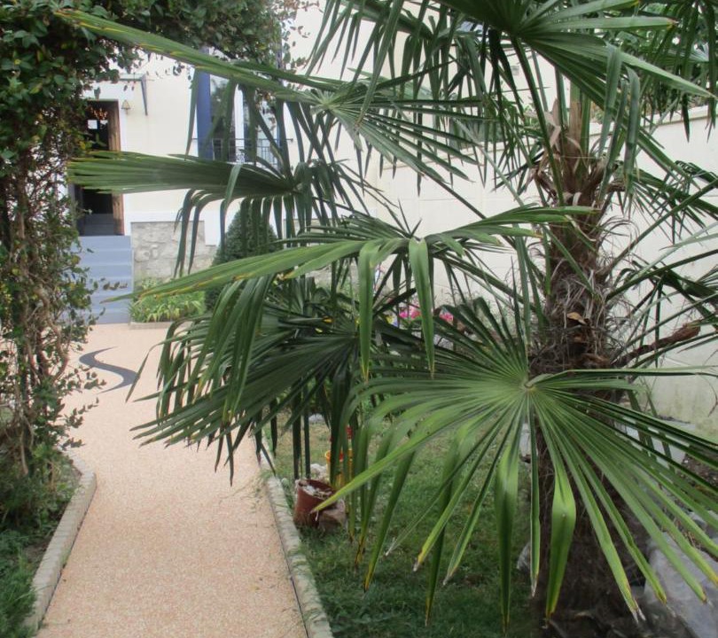 Photo of Others in Champigny-sur-Marne