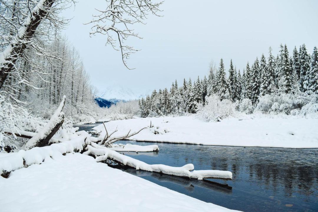 Photo of Others in Alyeska