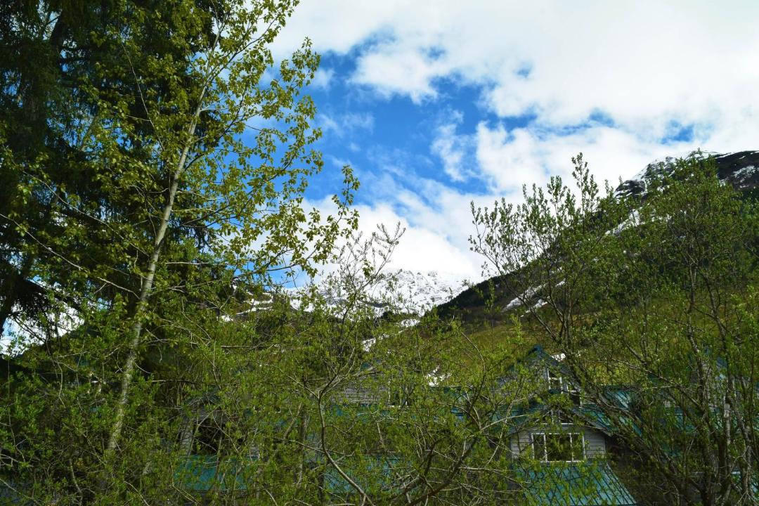 Photo of Others in Alyeska