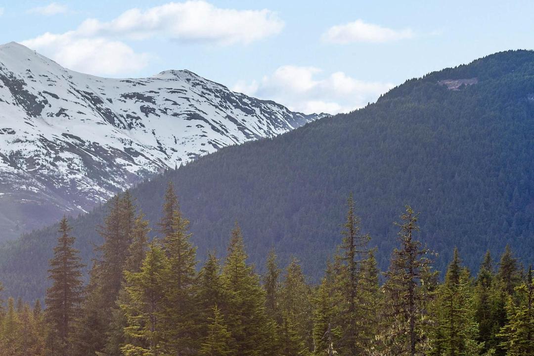 Photo of Others in Alyeska