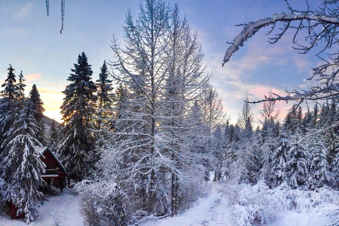 Photo of Others in Alyeska