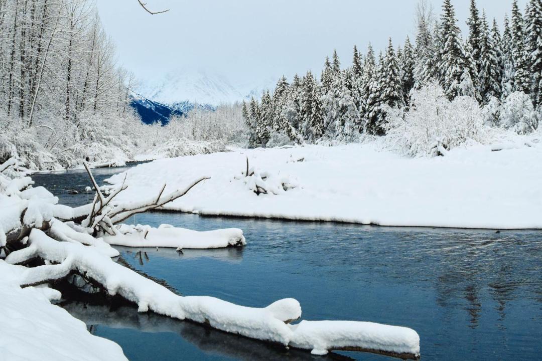 Photo of Others in Girdwood
