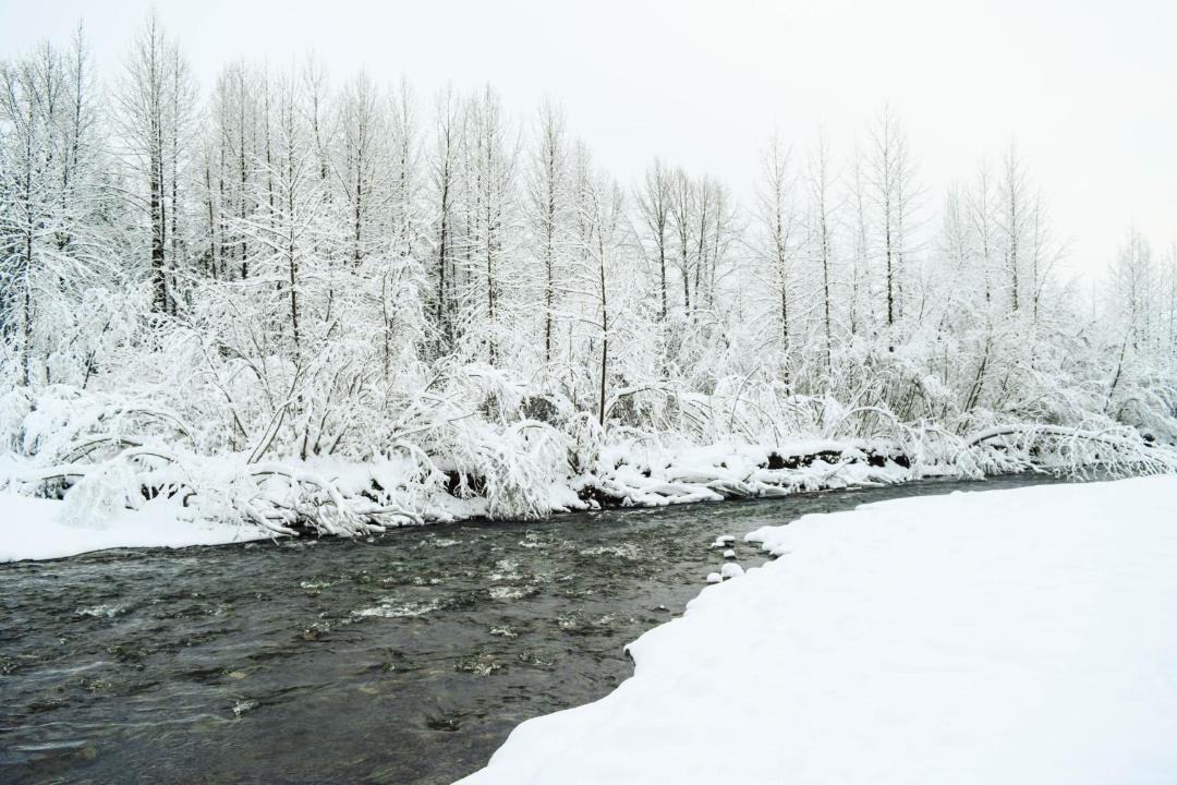 Photo of Others in Girdwood