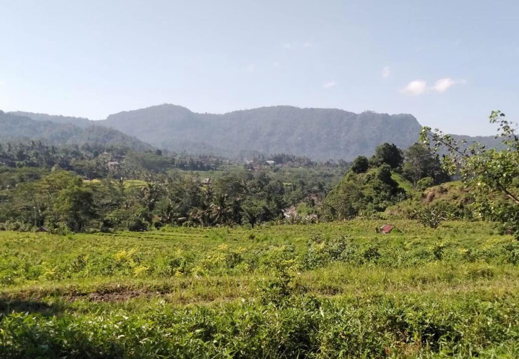 Photo of Others in Sidemen