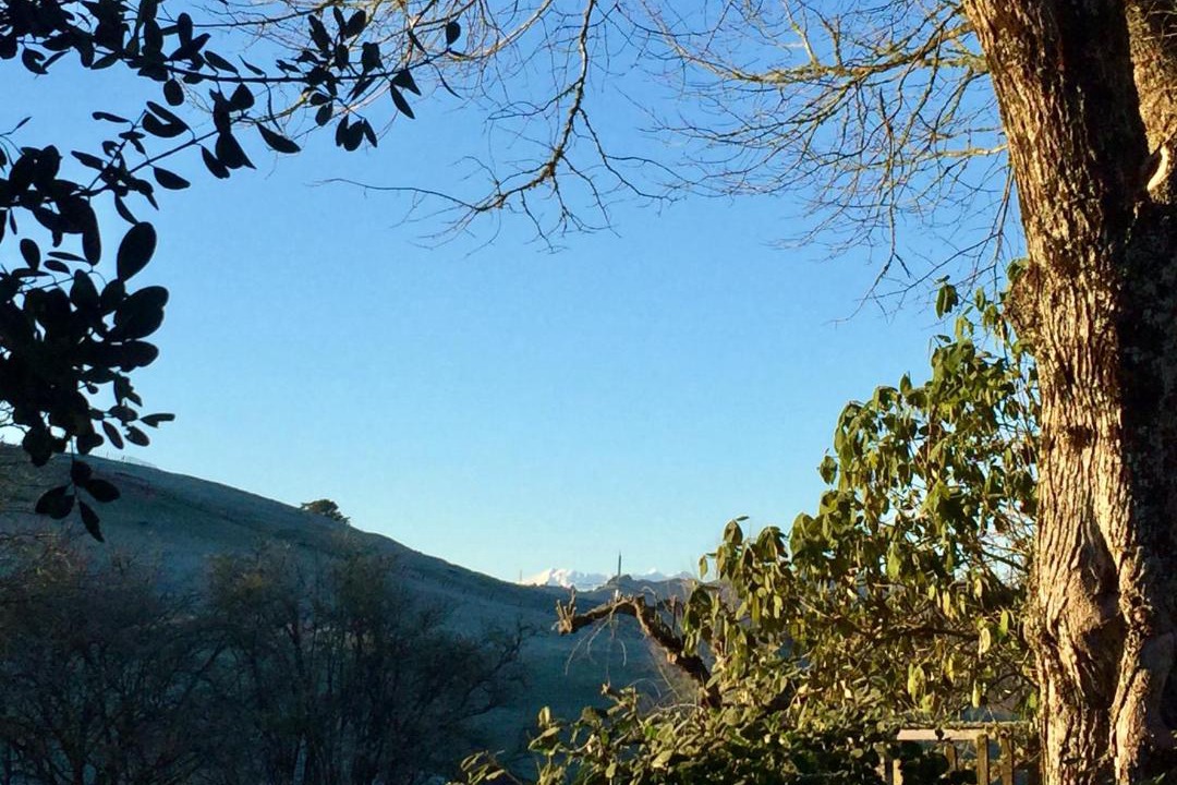 Photo of Others in Taumarunui