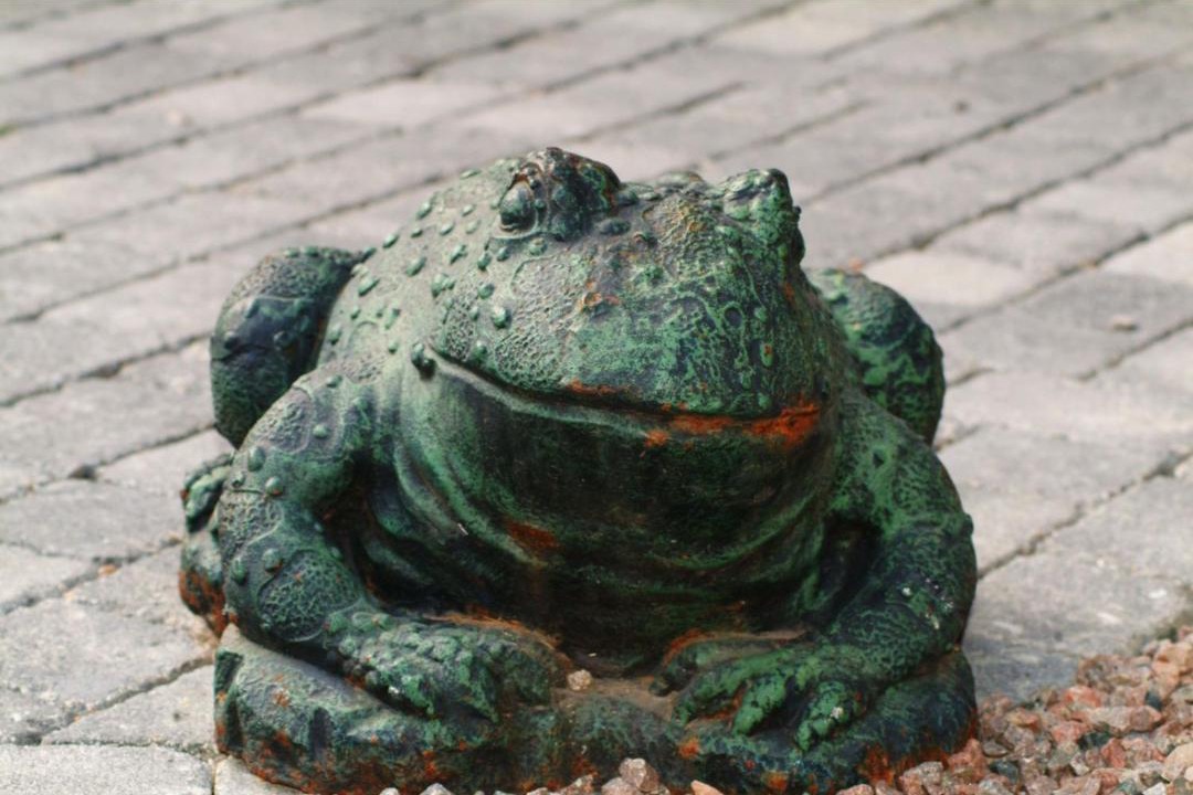 Photo of Others in Saint-Honore-les-Bains