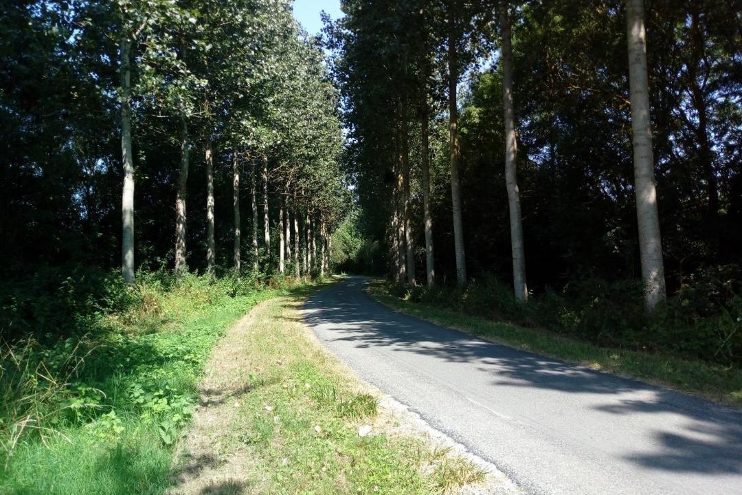 Photo of Others in Oree d'Anjou