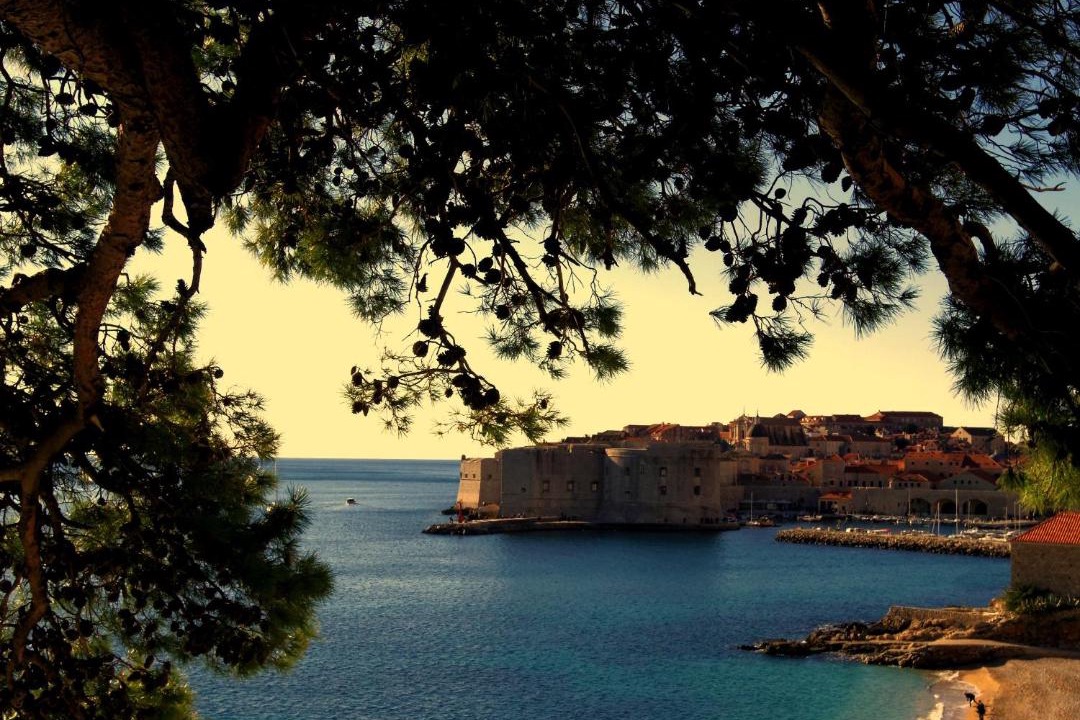 Photo of Others in Dubrovnik