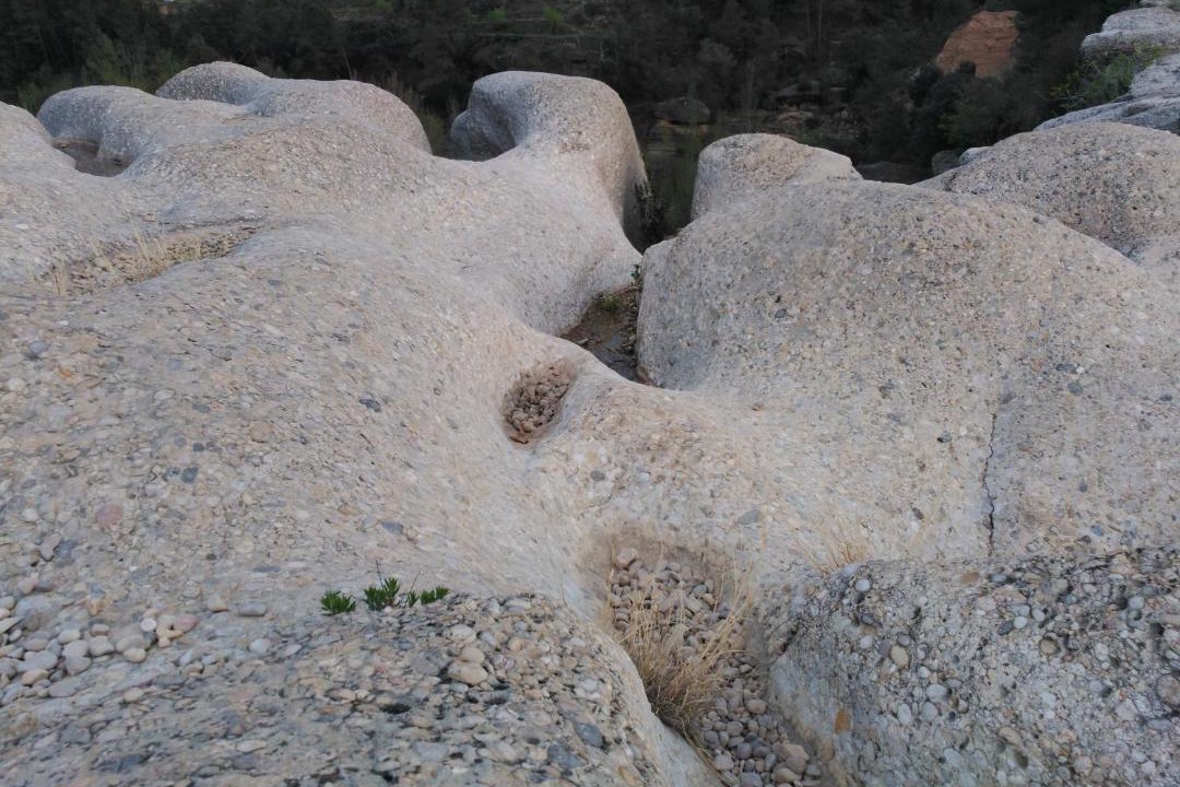 Photo of Others in La Portellada