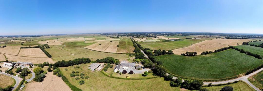 Photo of Others in Tribehou