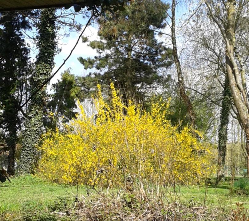 Photo of Others in Domvast