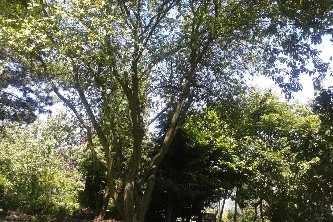 Photo of Outdoor in Domvast