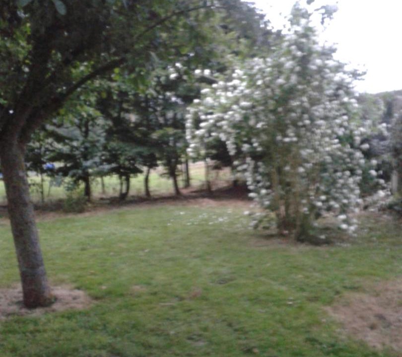 Photo of Outdoor in Domvast