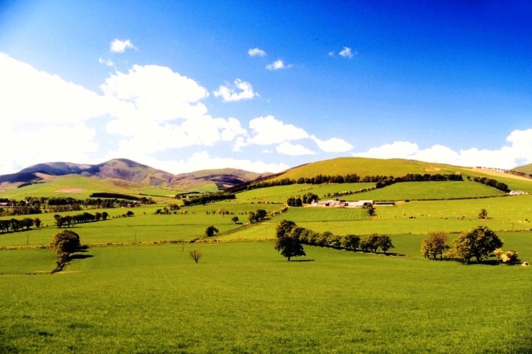 Photo of Others in Innerleithen