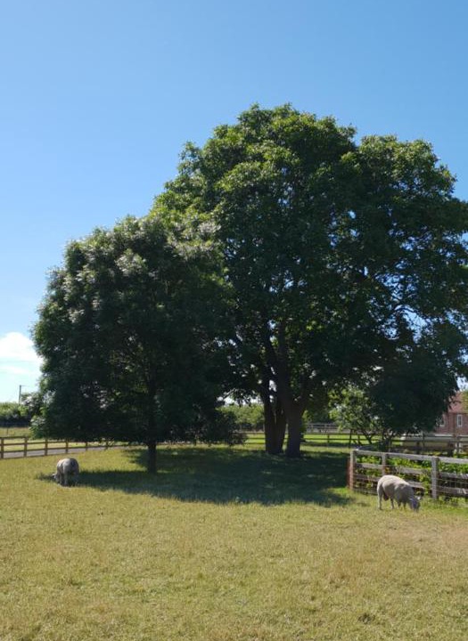Photo of Outdoor in York