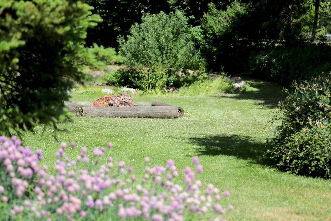 Photo of Others in Jelling