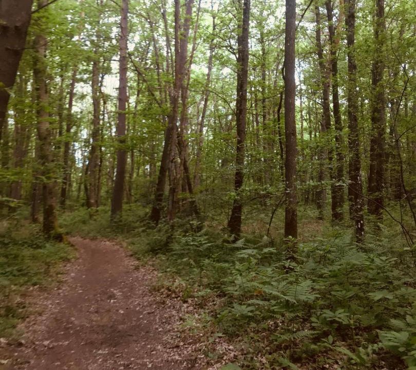 Photo of Others in Milly-la-Foret