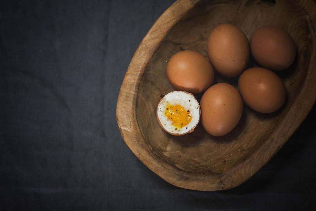 Photo of Others in Sønderborg