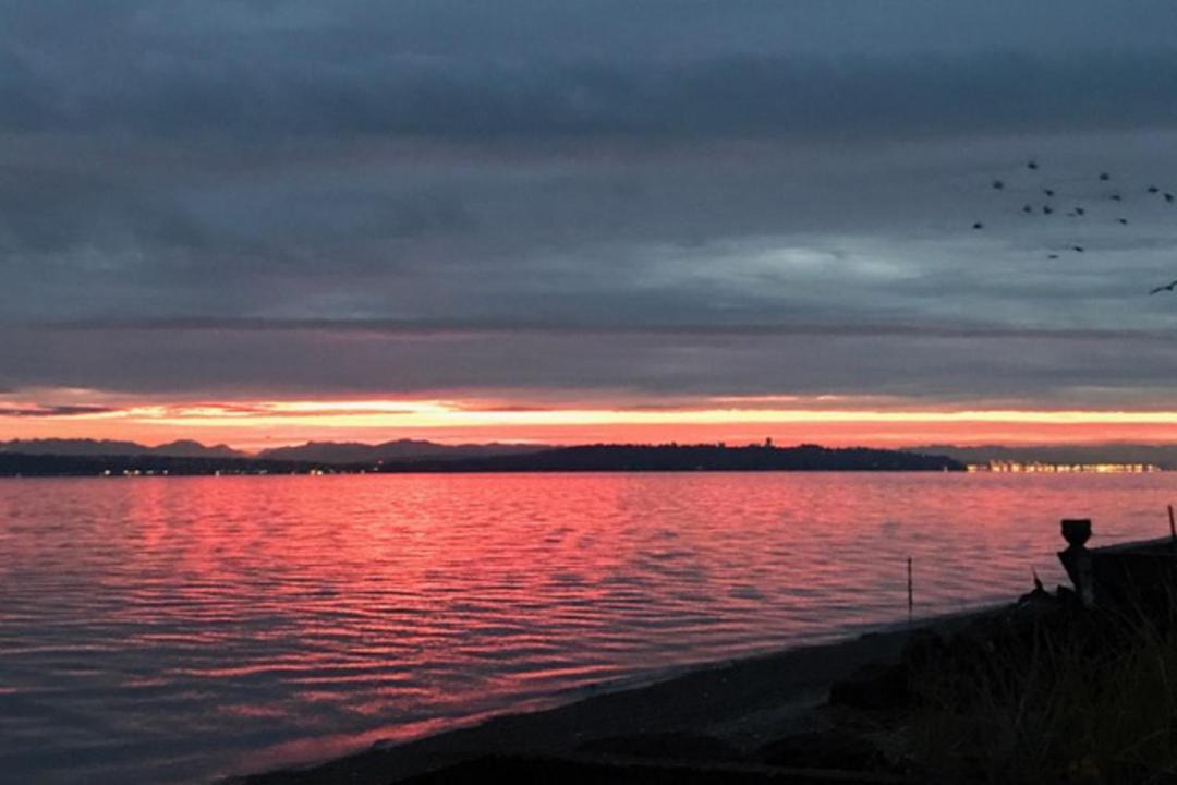 Photo of Others in Rollingbay