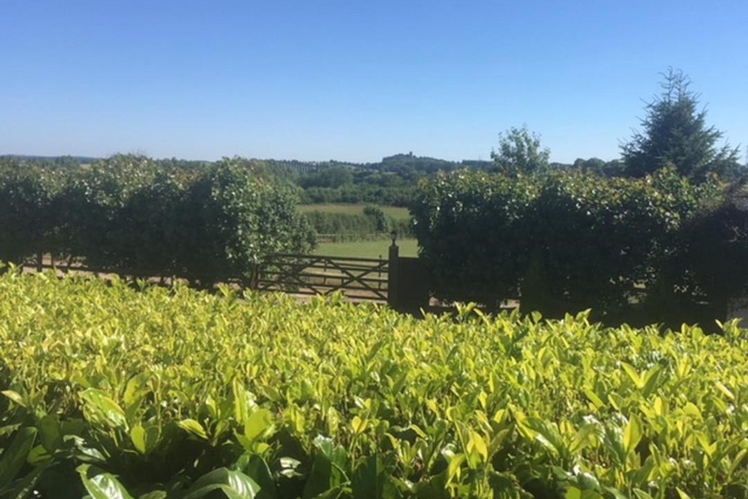 Photo of Others in Melbourne