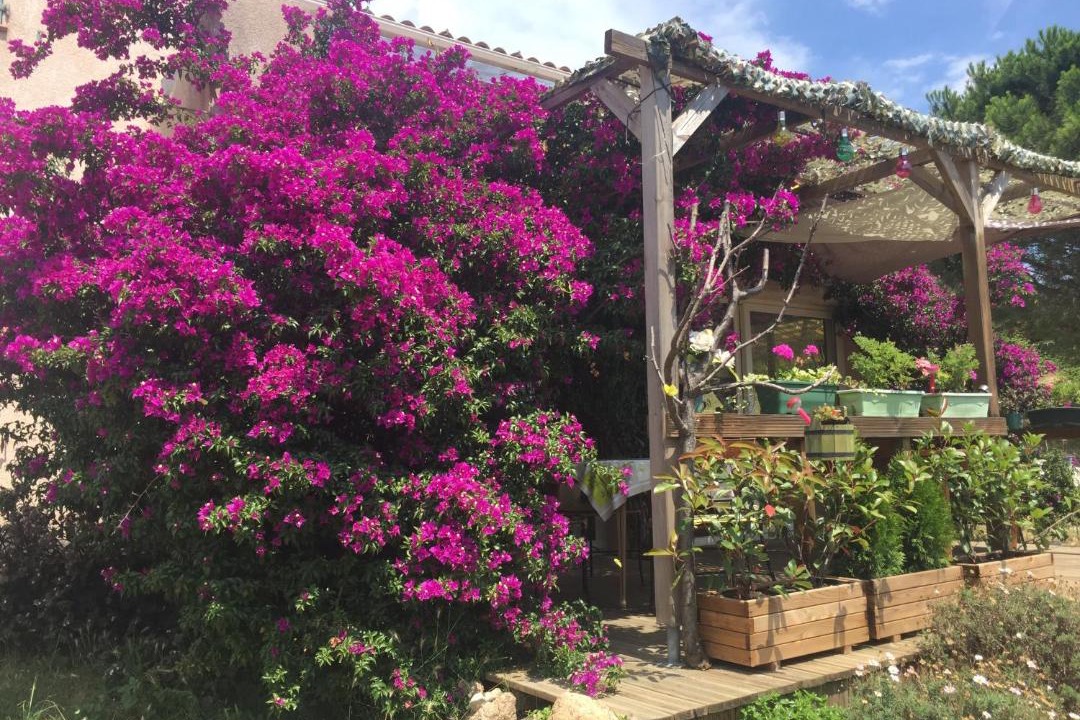 Photo of Others in Monacia-d'Aullene