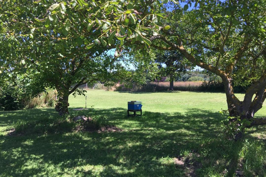 Photo of Others in Balines