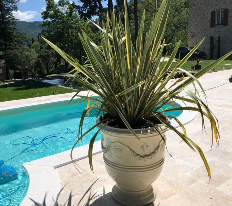 Photo of Others in Aumessas