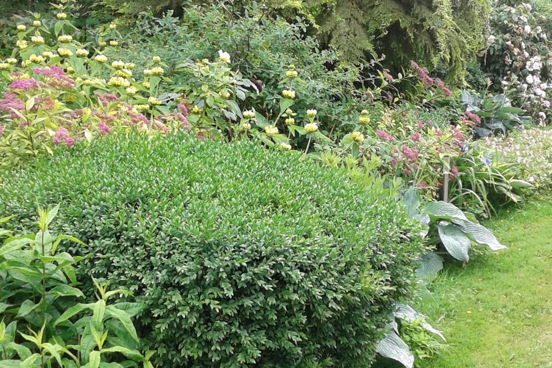 Photo of Others in Saint-Germain-sur-Sarthe