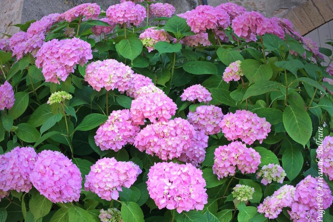 Photo of Others in Etrigny