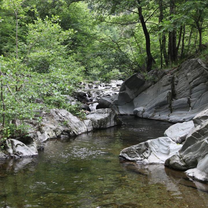 Photo of Others in Les Plantiers