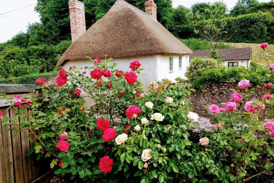 Photo of Others in Wilmington