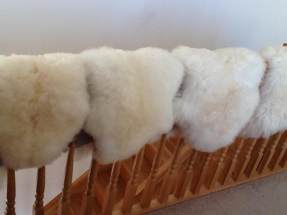 Photo of Others in Lybster